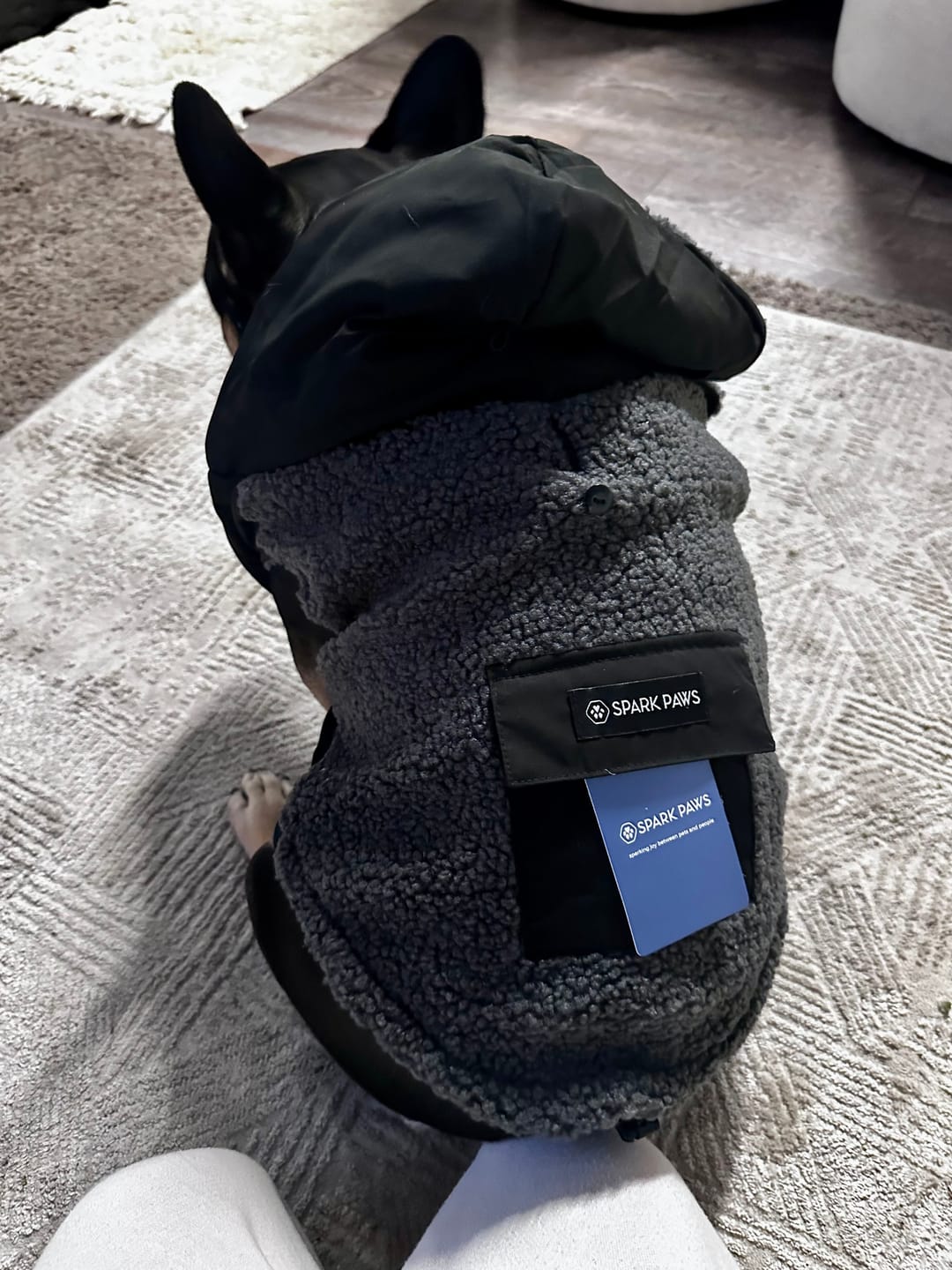 Customer photo review of Reversible Sherpa Jacket - Grey and Black