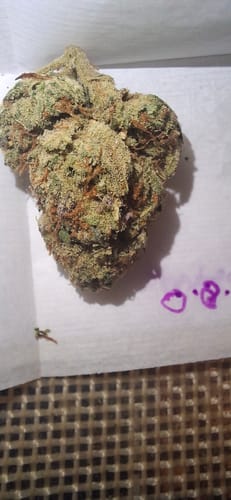 Customer photo review of Columbia Gold Flower