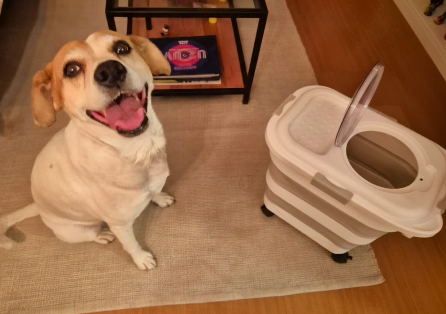 Customer photo review of Contenedor Hermético THE DOGS — Del desastre al orden total