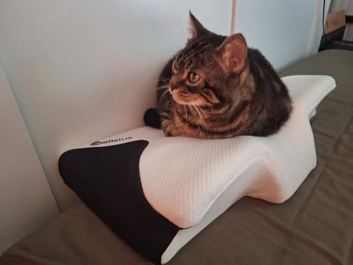 Le chat d'un client est couché sur le coussin d'alignement cervical Cellsius, de couleur blanche et noire.