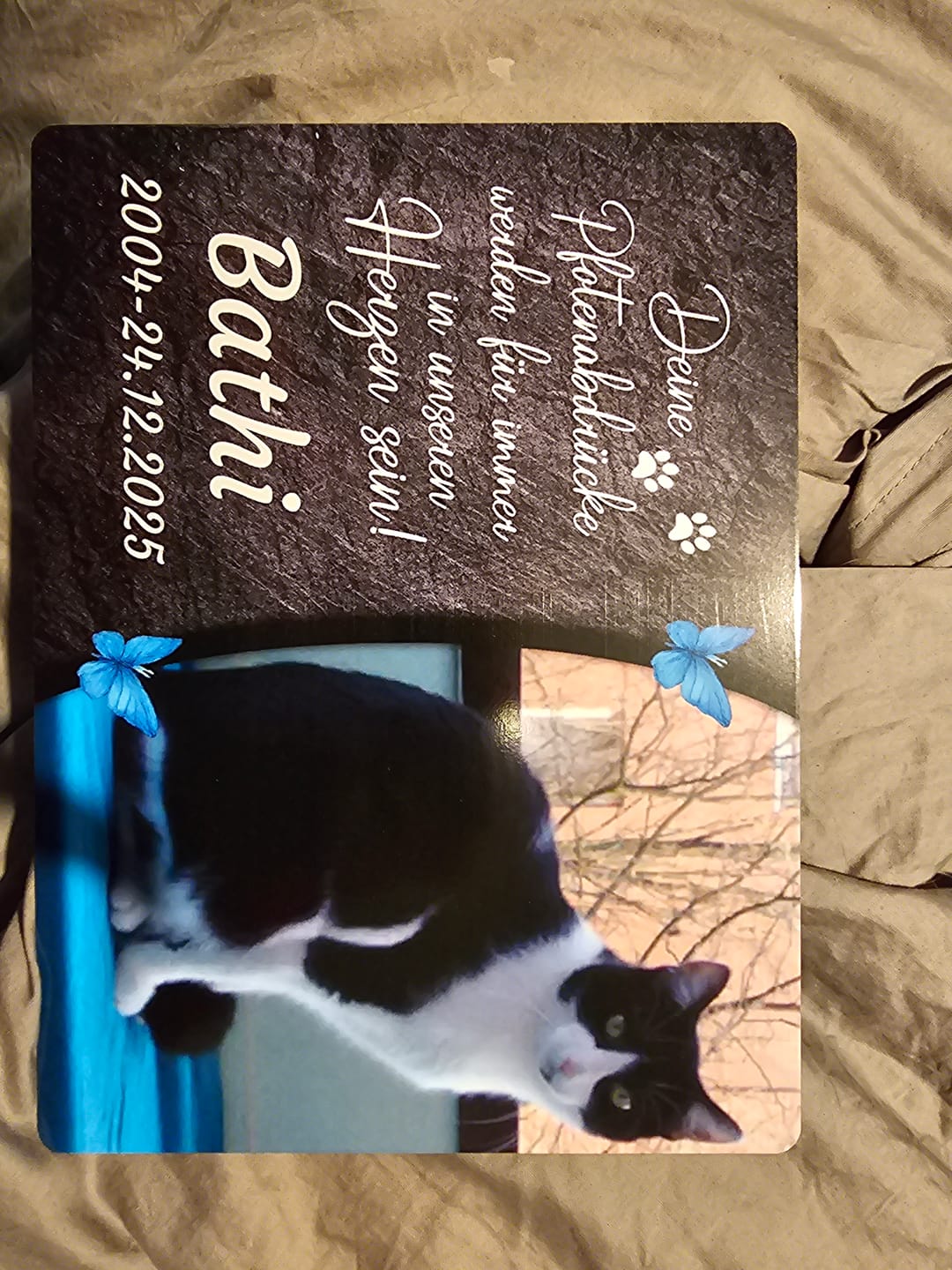 Customer photo review of Katzen Gedenktafel mit Foto & Spruch (UV- & Wetterfest)