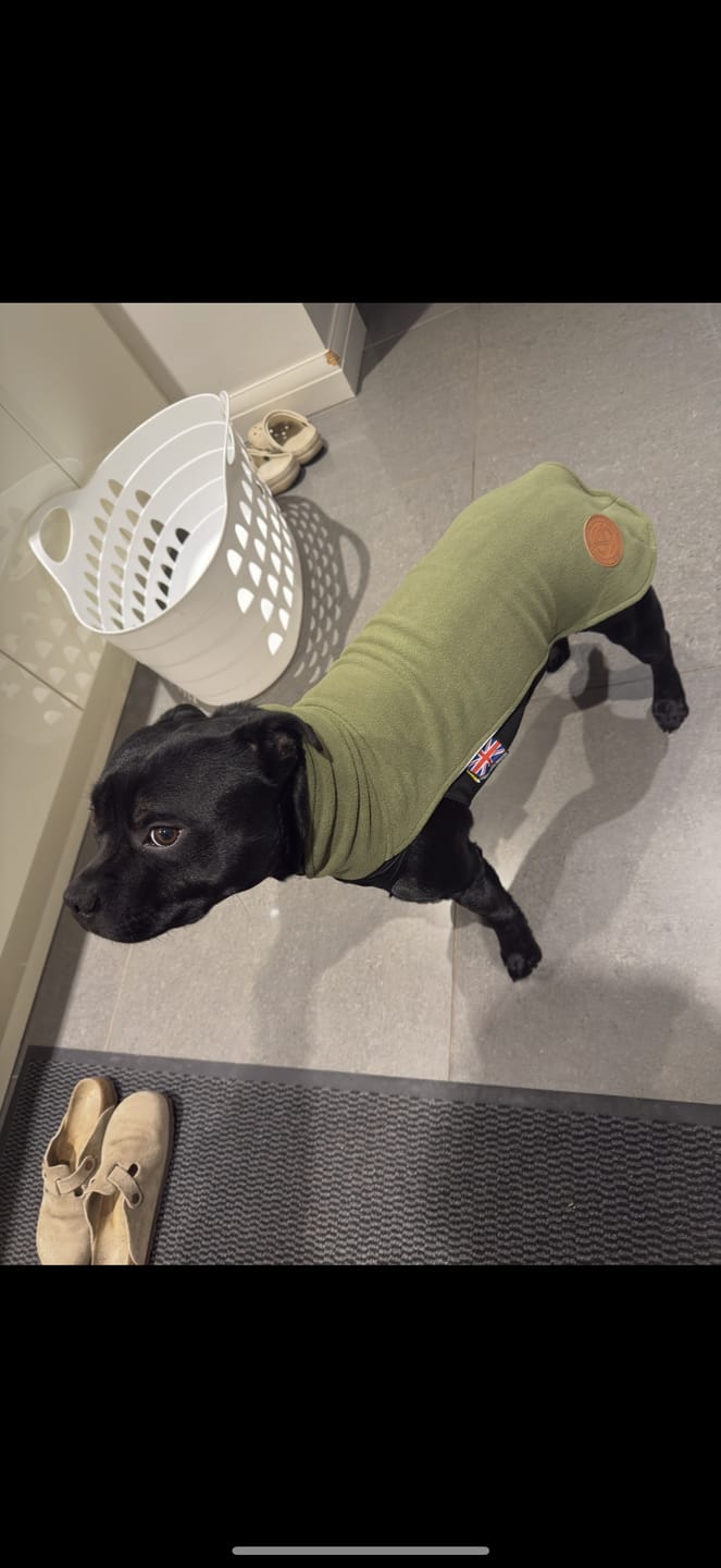 Customer photo review of Staffordshire Bull Terrier 1935® Fleece Coat - Green