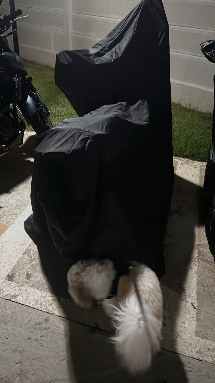 Customer photo review of Capa para Bicicleta Impermeável com Proteção Uv - Tamanho Universal
