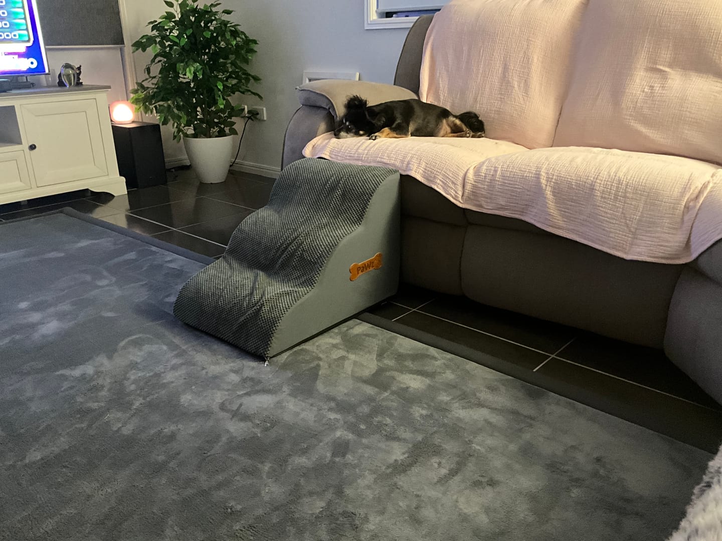 Customer photo review of Soft Foam Dog Stairs – Non-Slip Dog Steps for Beds & Couches