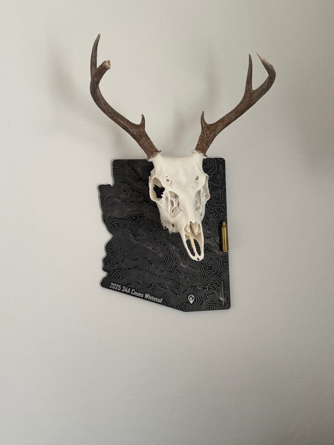 Customer photo review of Medium Game Plaques