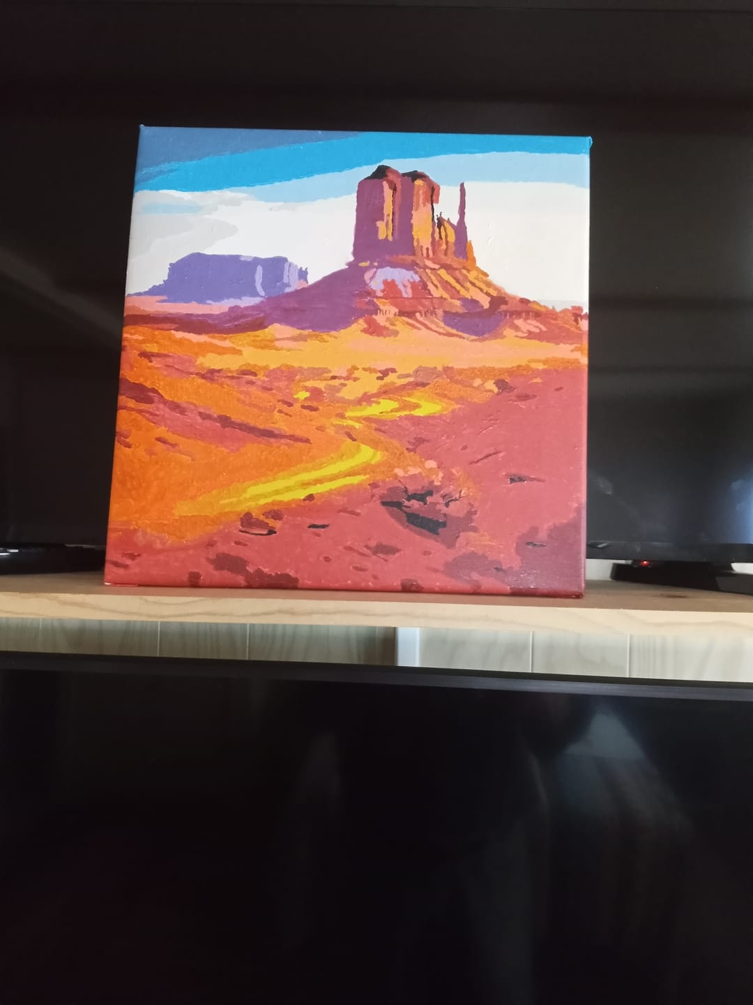 Customer photo review of Paint by Numbers - Magic of the southwestern desert