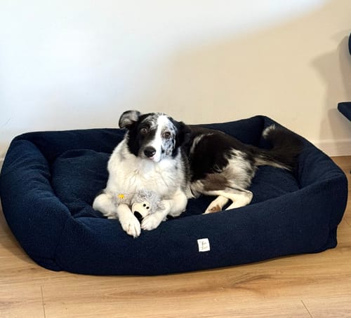 Customer photo review of Divanetto Boucle Teddy Navy