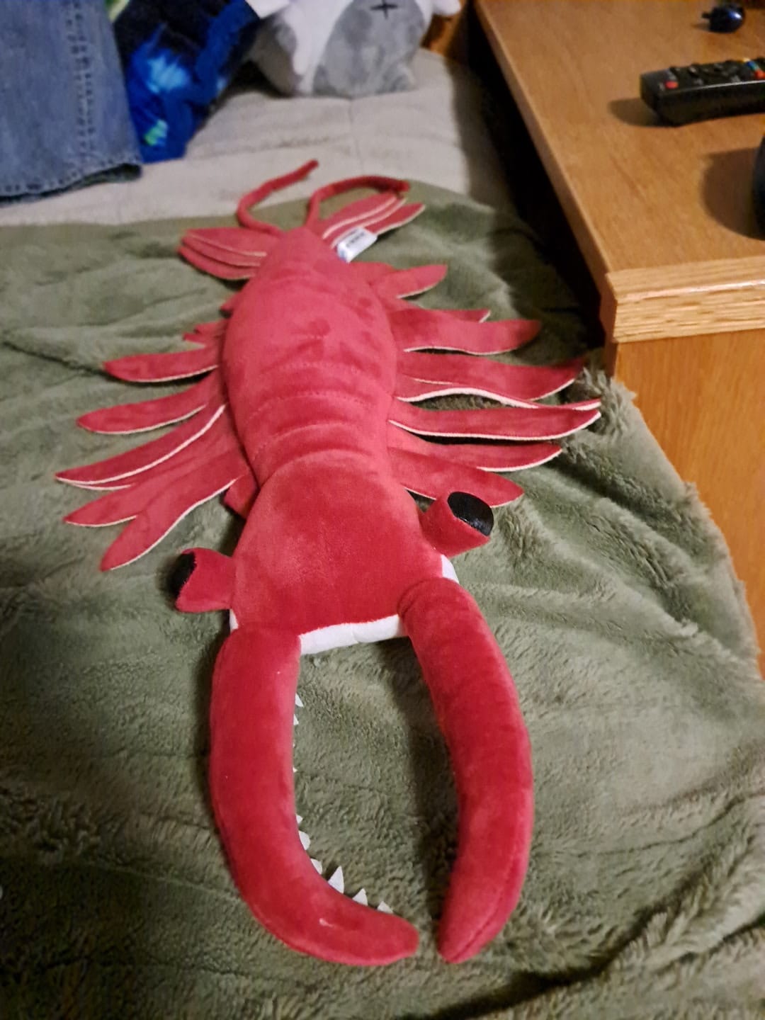 Customer photo review of Anomalocaris Arthropod Soft Stuffed Plush Toy