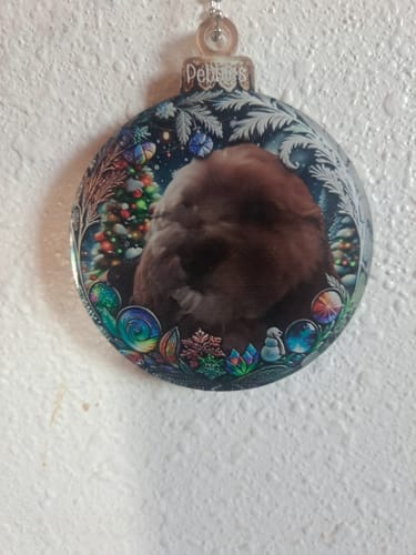 Customer photo review of Personalized Cat & Dog Christmas Ornaments With Photo Pets Make Our Lives Whole Home Holiday Decorations For Pet Lovers
