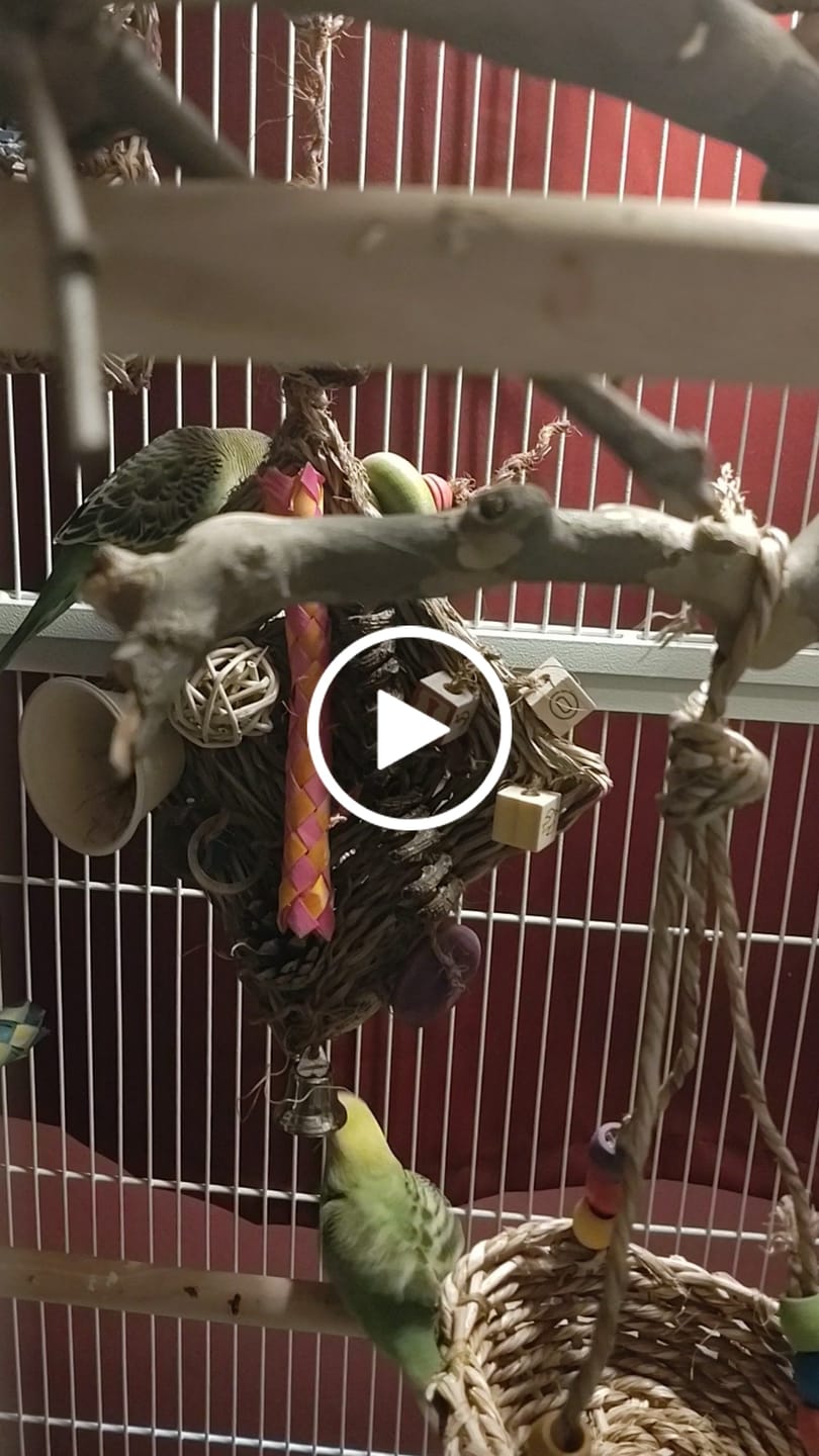 Customer video review of 6" Woven Grass Mat