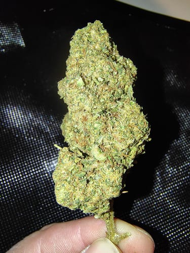 Customer photo review of Gorilla Glue Greenhouse THCA
