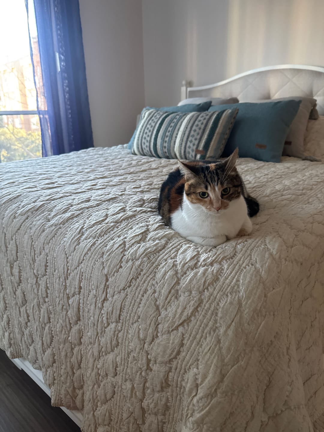Customer photo review of Helen Çift Kişilik Yatak Örtüsü