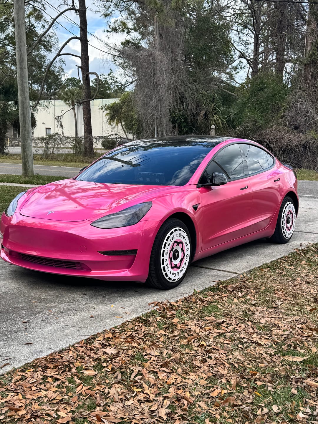 Customer photo review of EVAAM® Stylish Fully Wrapped Wheel Hubcap For Tesla Model 3/Y (4 PCS)