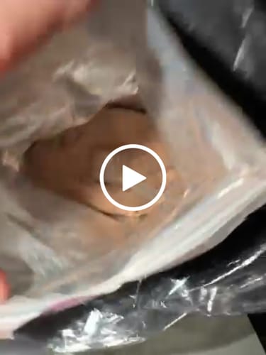 Customer video review of Metabolic Protein - Collagene Grass fed - Gusto Cacao