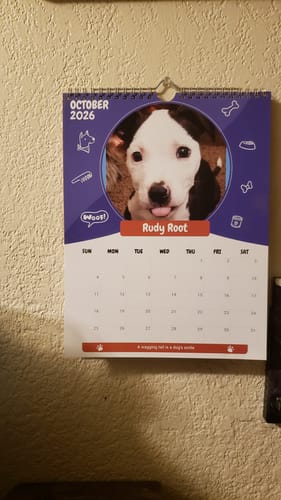 Customer photo review of PUPVOTE: 2025 Cutest Pet Calendar (Official Edition)