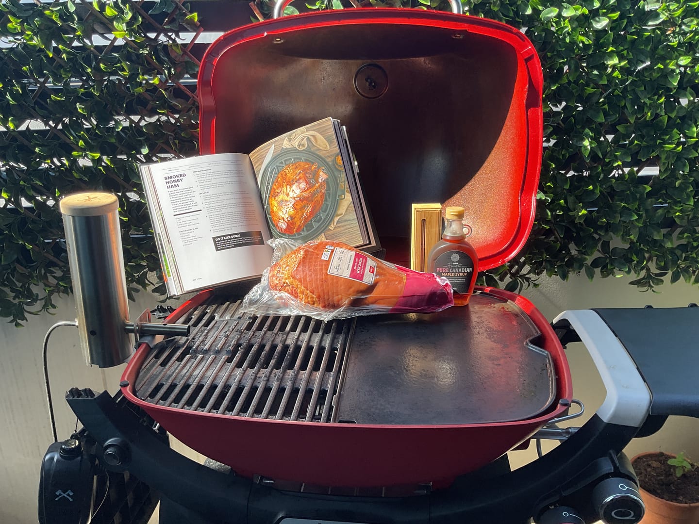 Customer photo review of Smokai Starter Kit for Weber® Q™