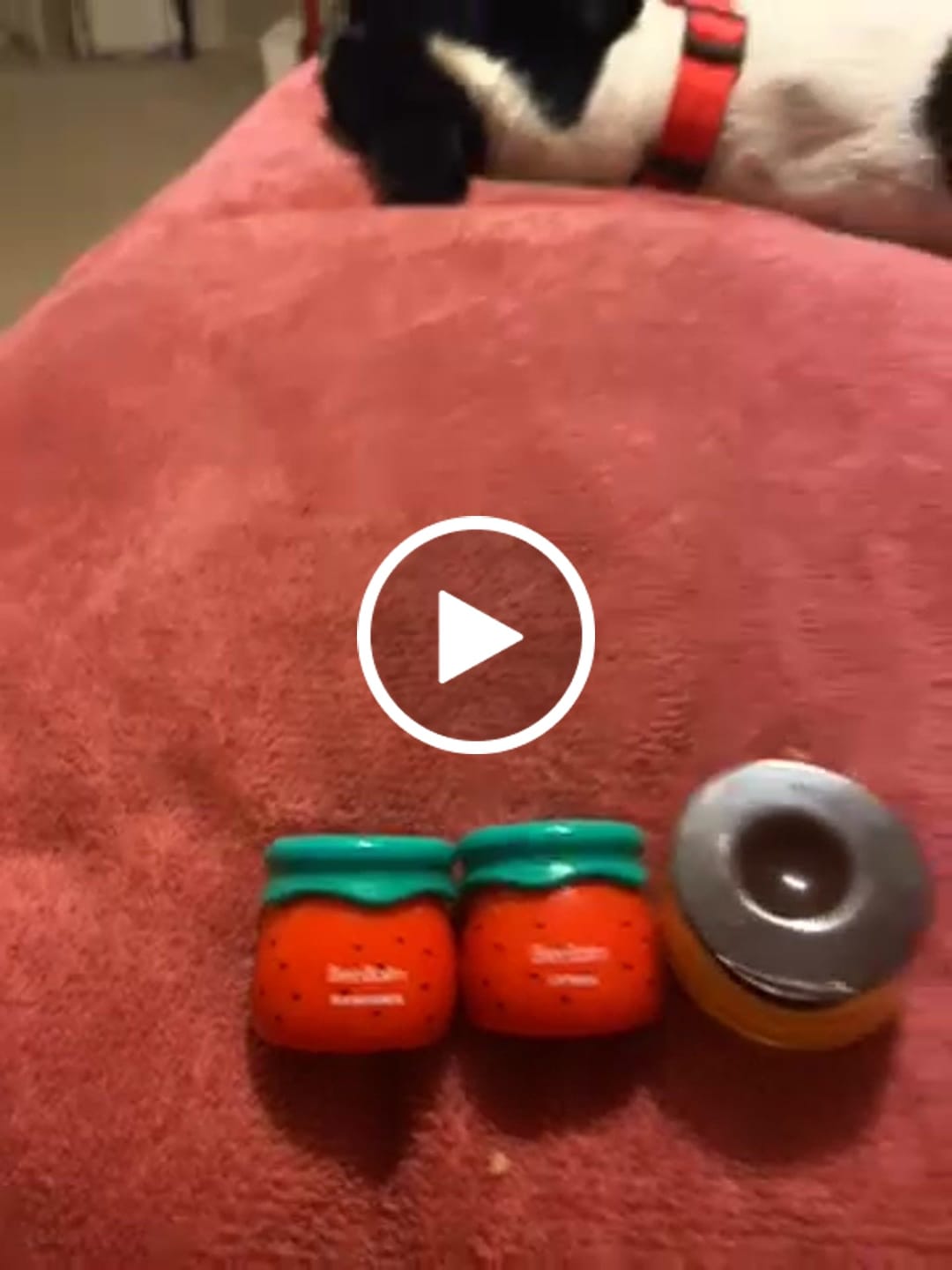 Customer video review of Replacement Applicator (3-pack)