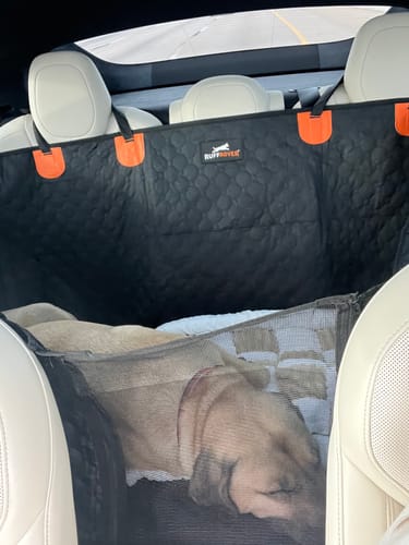 Customer photo review of Luxe Dog Bed - For The RuffRover 2.0™