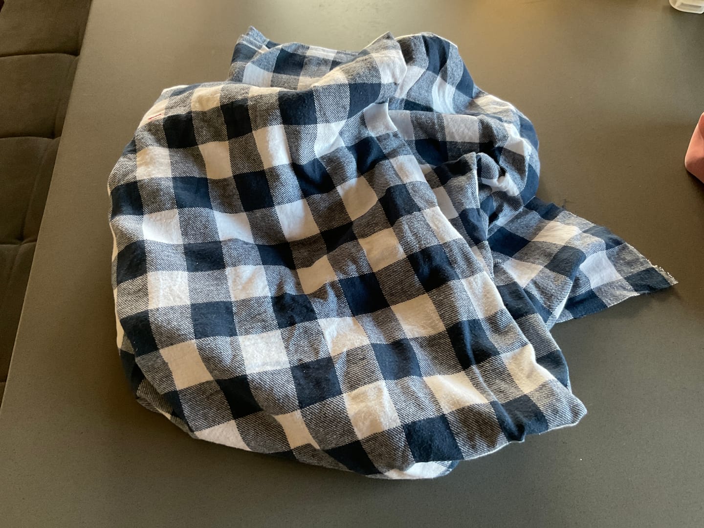 Customer photo review of Blue and Ivory Checkered Brushed Cotton Fabric