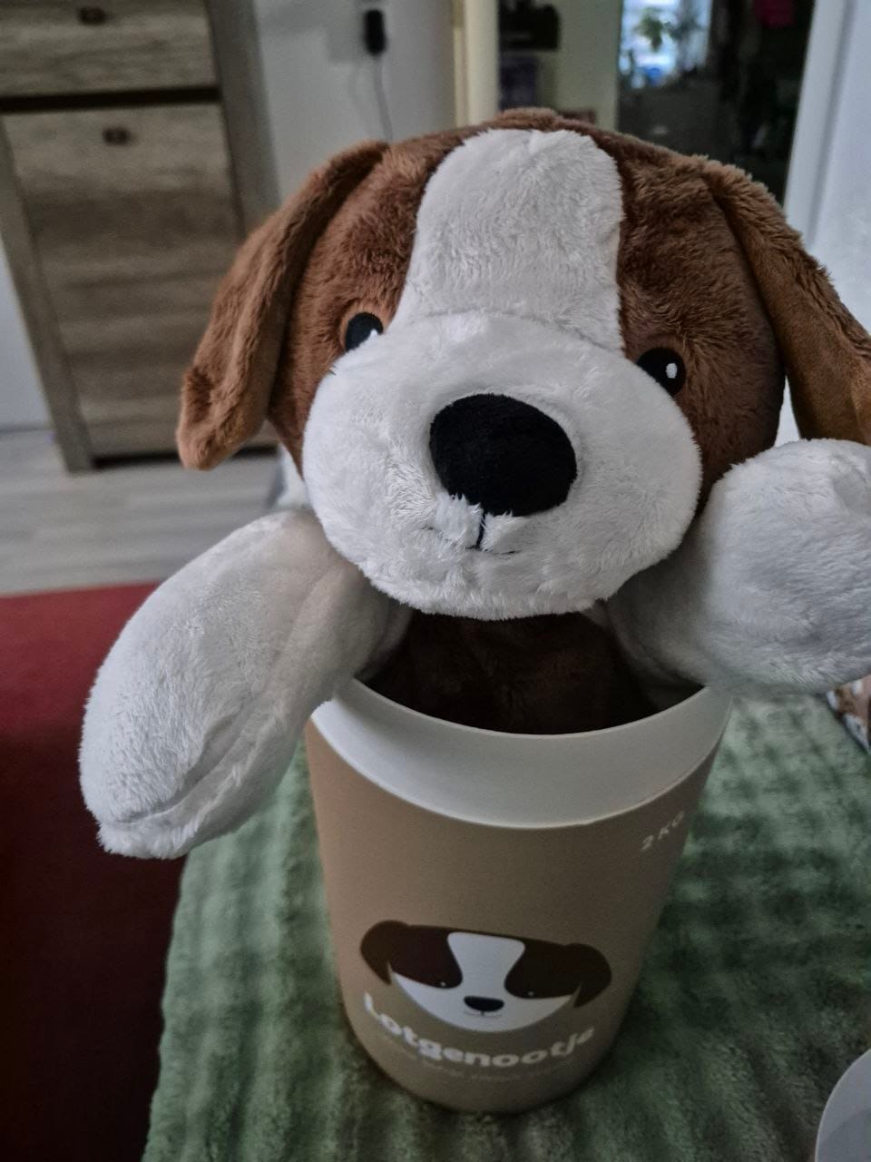 Customer photo review of Bestseller voordeelbundel - Beer en hond - Je bespaart €33