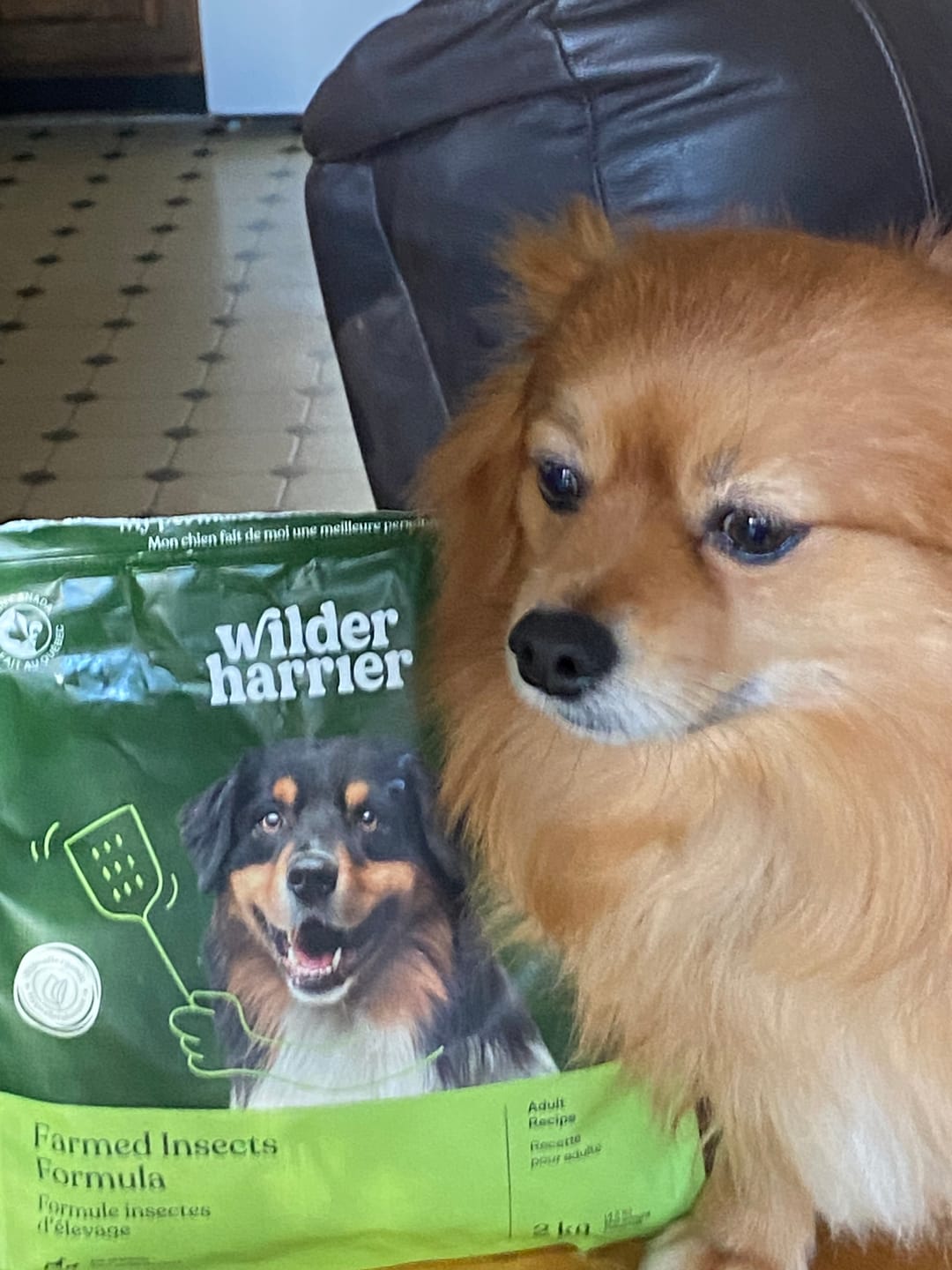 Customer photo review of Farmed Insects formulas / Adult & Puppy