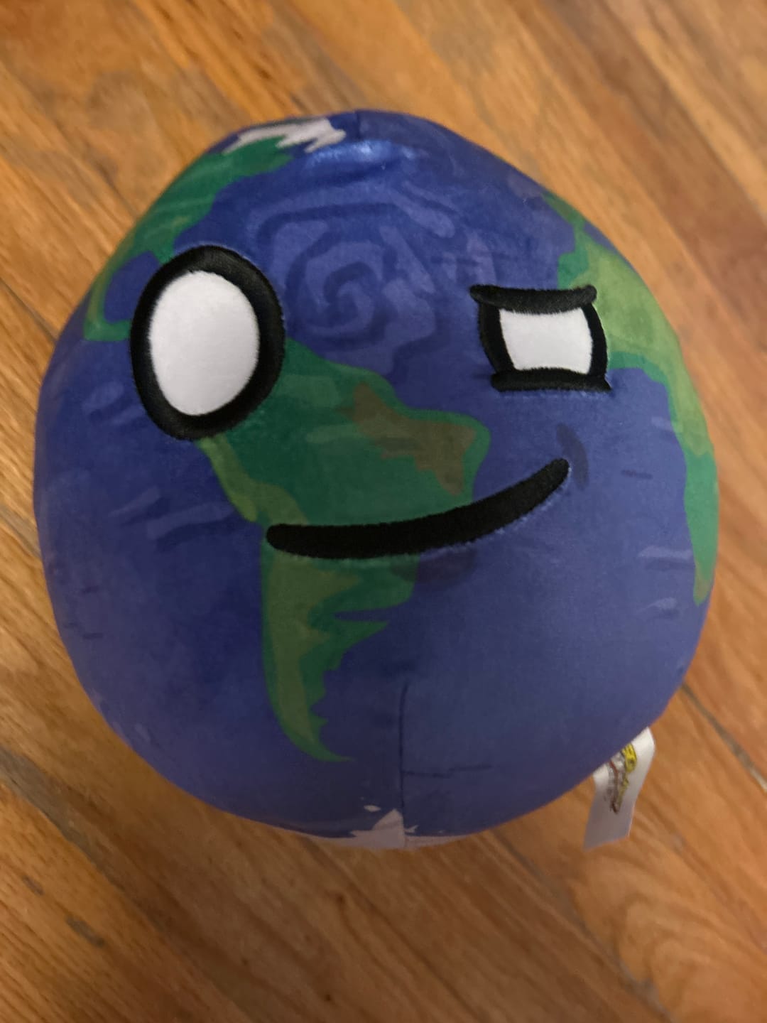 Customer photo review of The SolarBalls Earth Plush