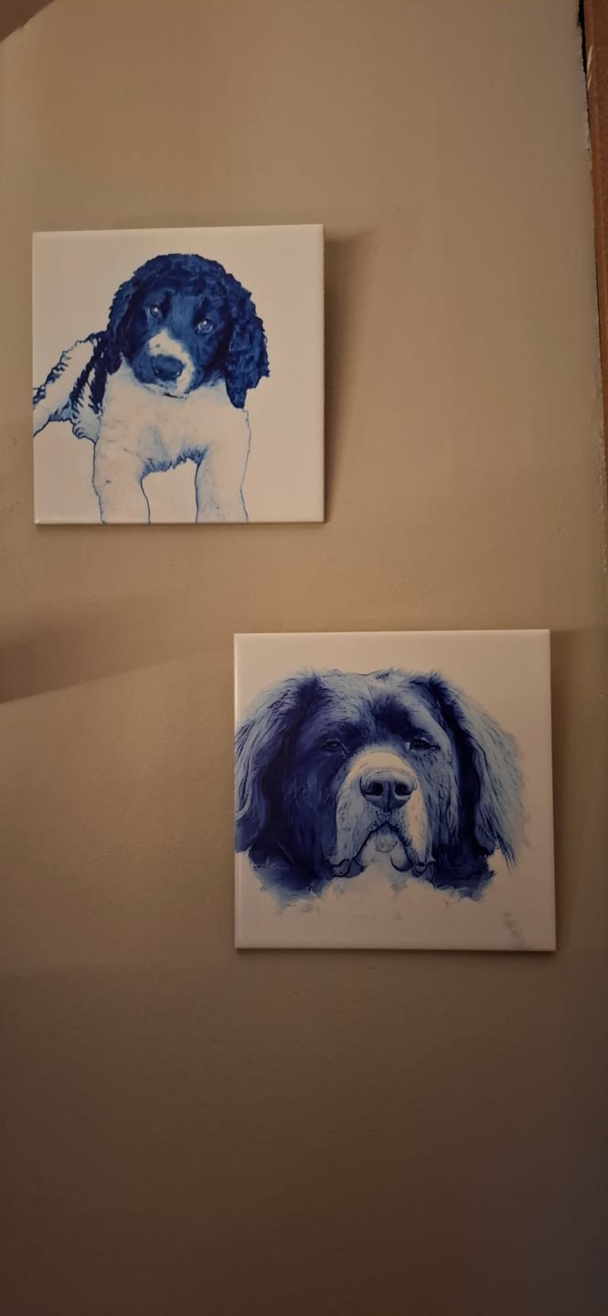 Customer photo review of Delfts Blauw tegeltje bedrukken met jouw eigen huisdier