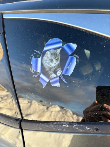 Customer photo review of Custom Photo RV Decal - Personalized Birthday Gifts For Dog Cat Lovers