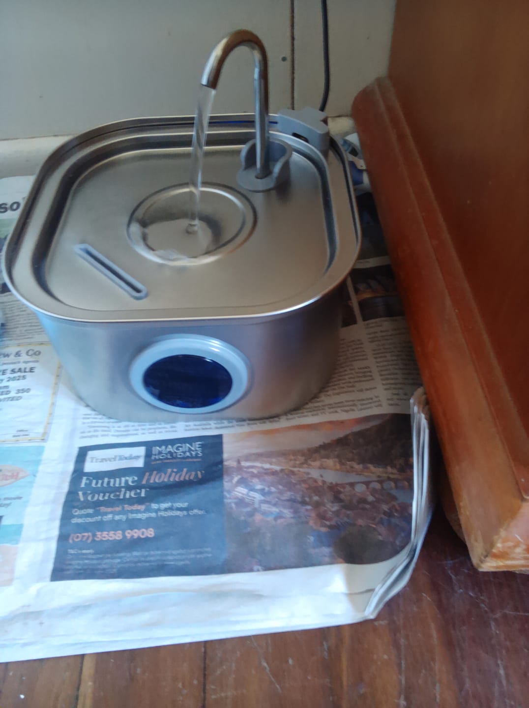 Customer photo review of Whisker Collective Drinking Fountain and Filter Replacement Packs