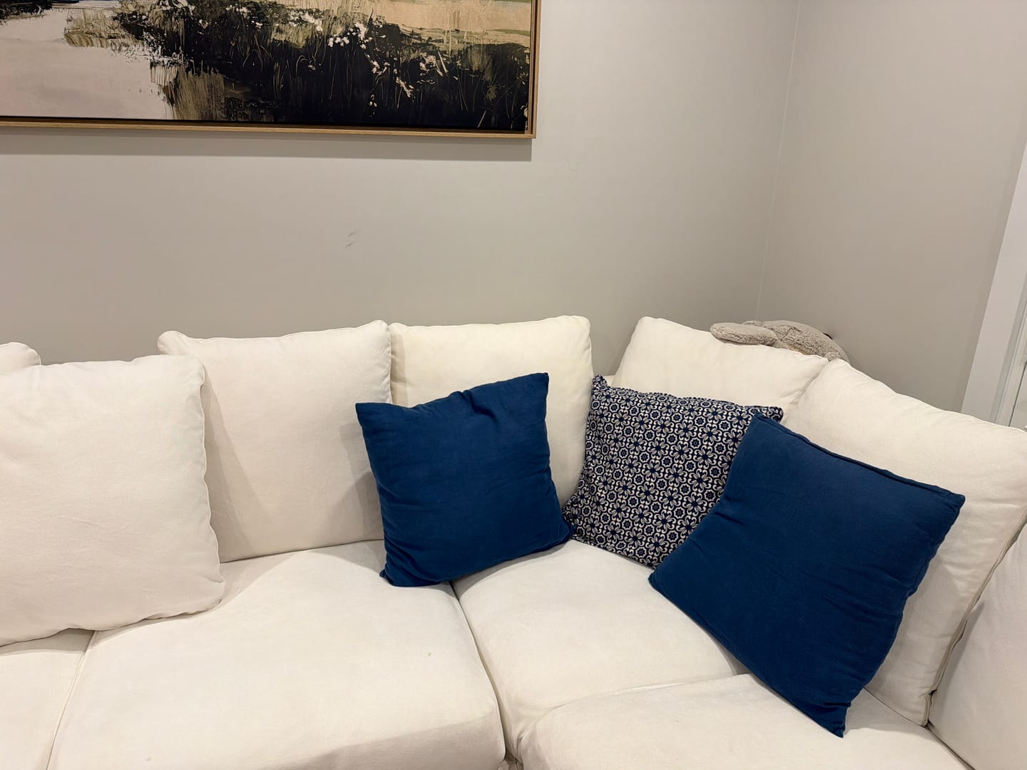 Customer photo review of Performance+ Couch Covers