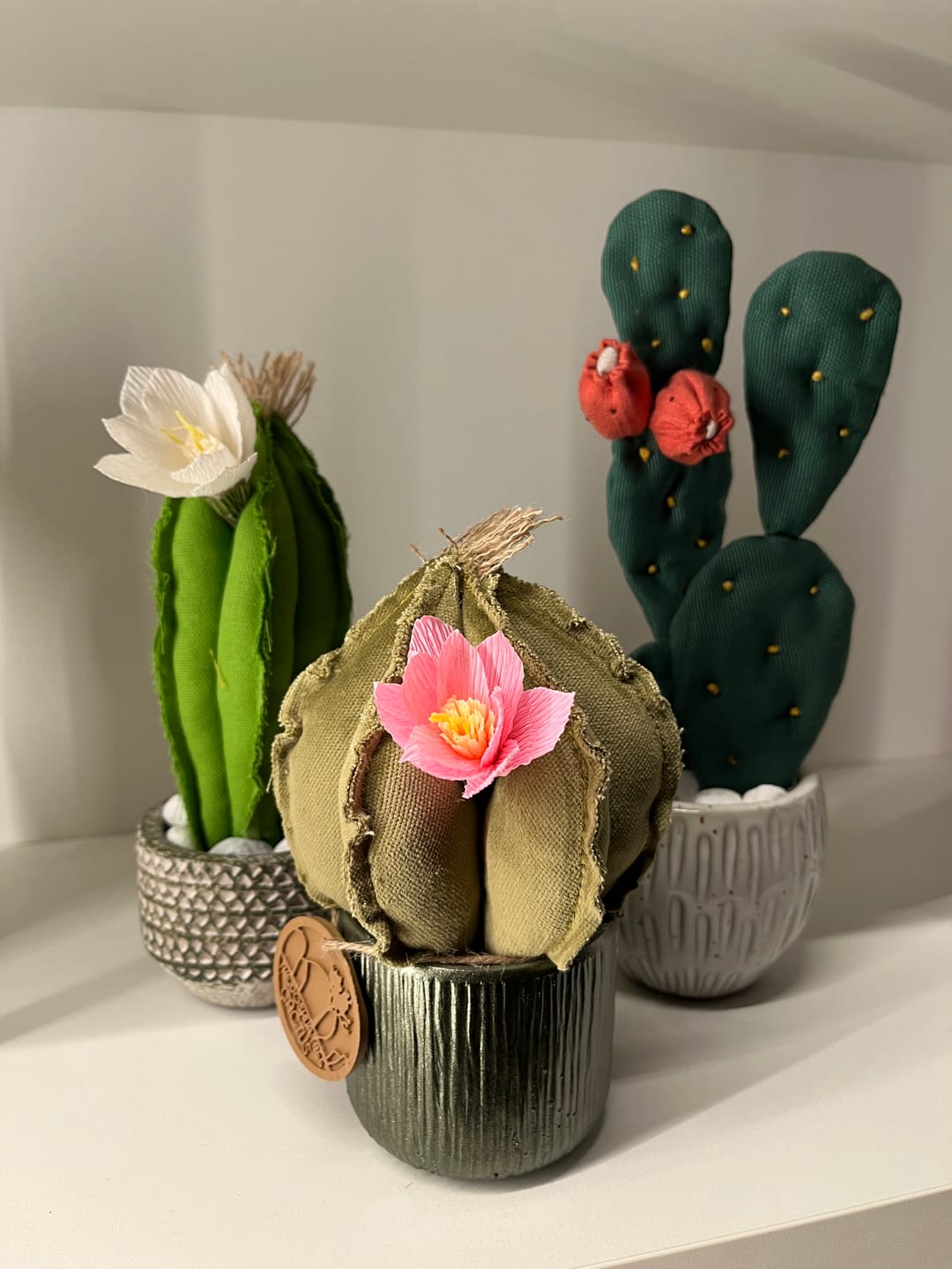 Customer photo review of Mini Cactus in tessuto velluto verde menta , vaso in ceramica verde, altezza circa 17 cm (fiore staccabile) - spedizione gratuita