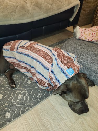 Customer photo review of Playa Poncho – Salmon
