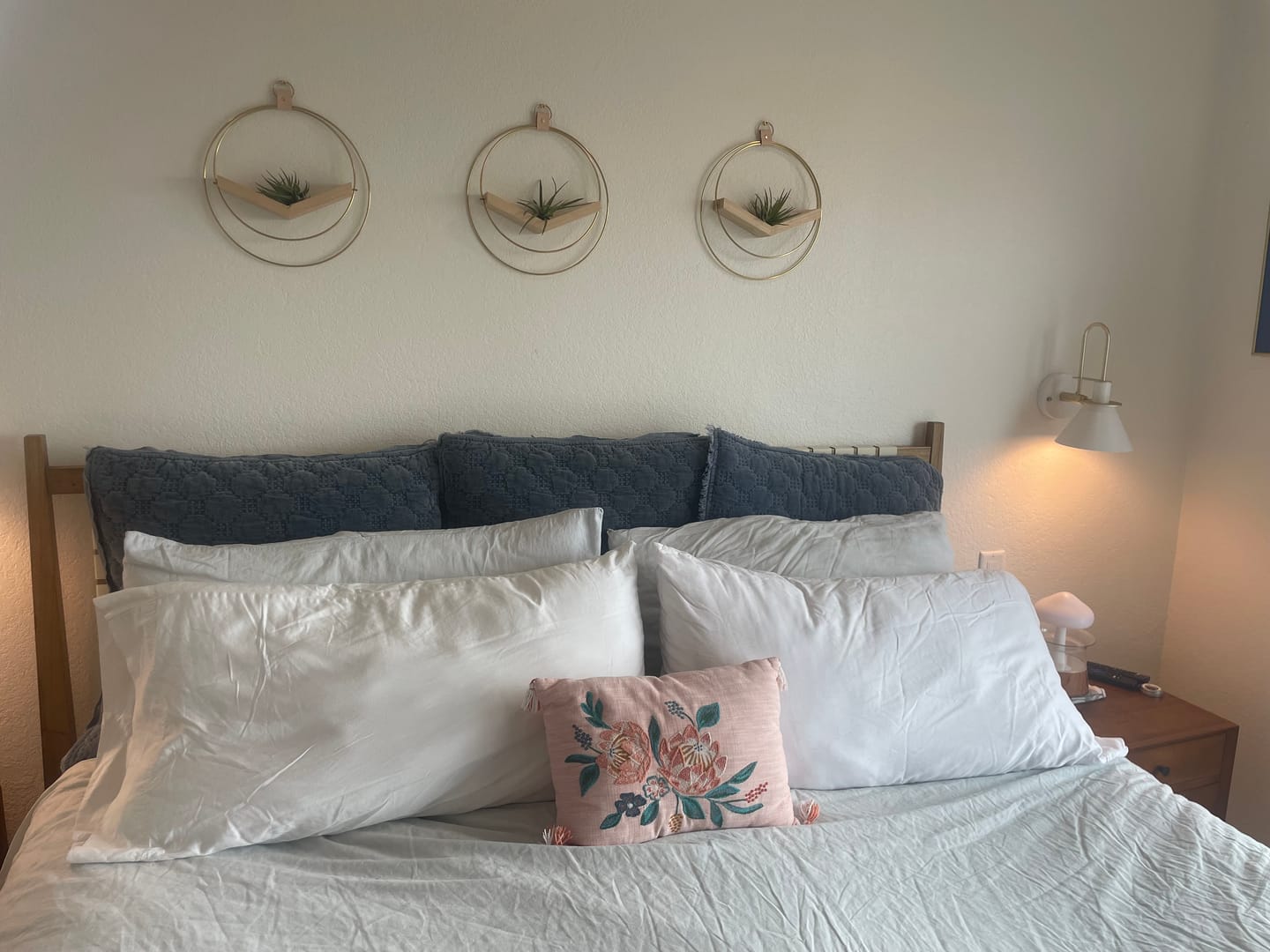 Customer photo review of Air Plant V-Hanger Trio