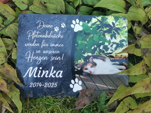 Customer photo review of Katzen Gedenktafel mit Foto & Spruch (UV- & Wetterfest)