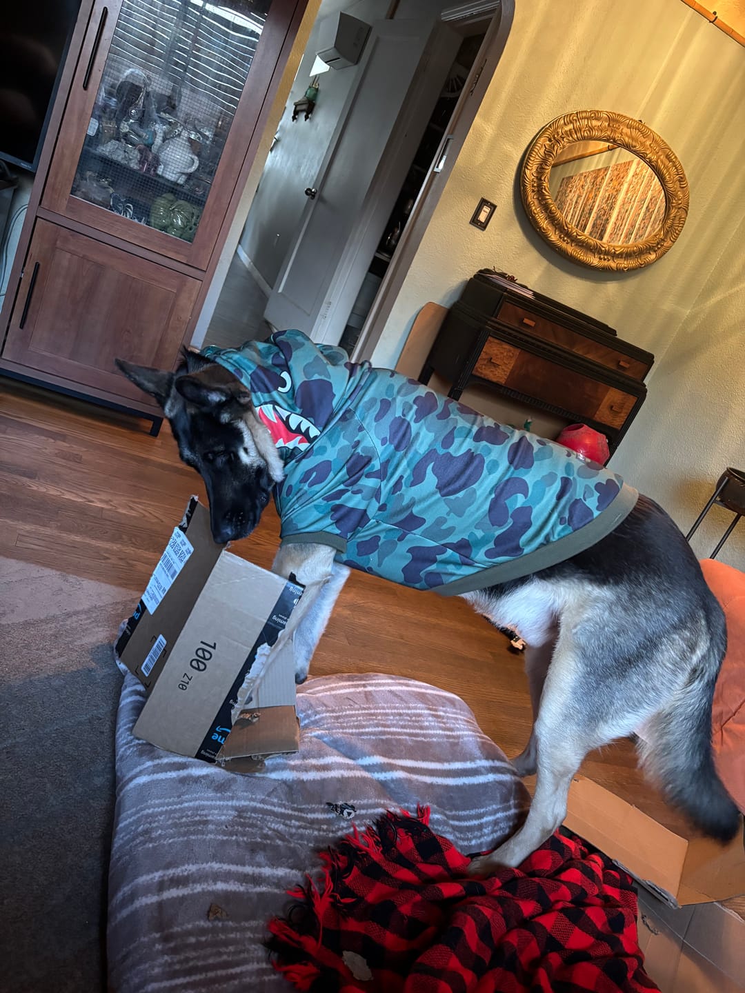 Customer photo review of Shark Monster Dog Hoodie - Green Camo