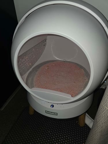 Customer photo review of Fit Litter