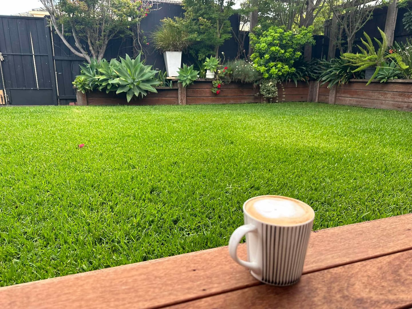 Customer photo review of SUPER X Coffee Blend