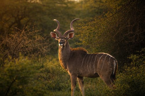 Customer photo review of TIER ONE MEMBERSHIP