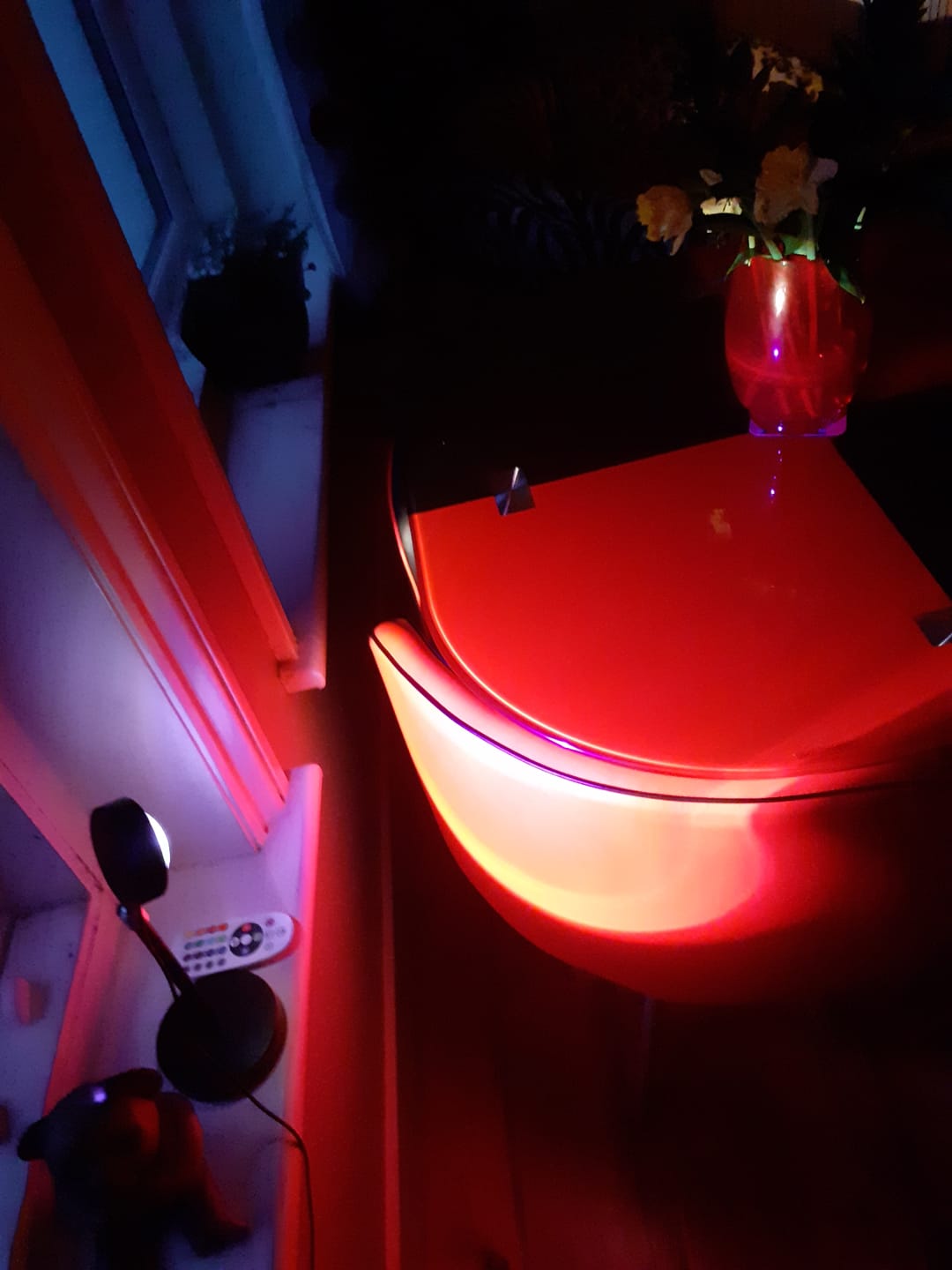 Customer photo review of Golden Hour Sunset Lamp