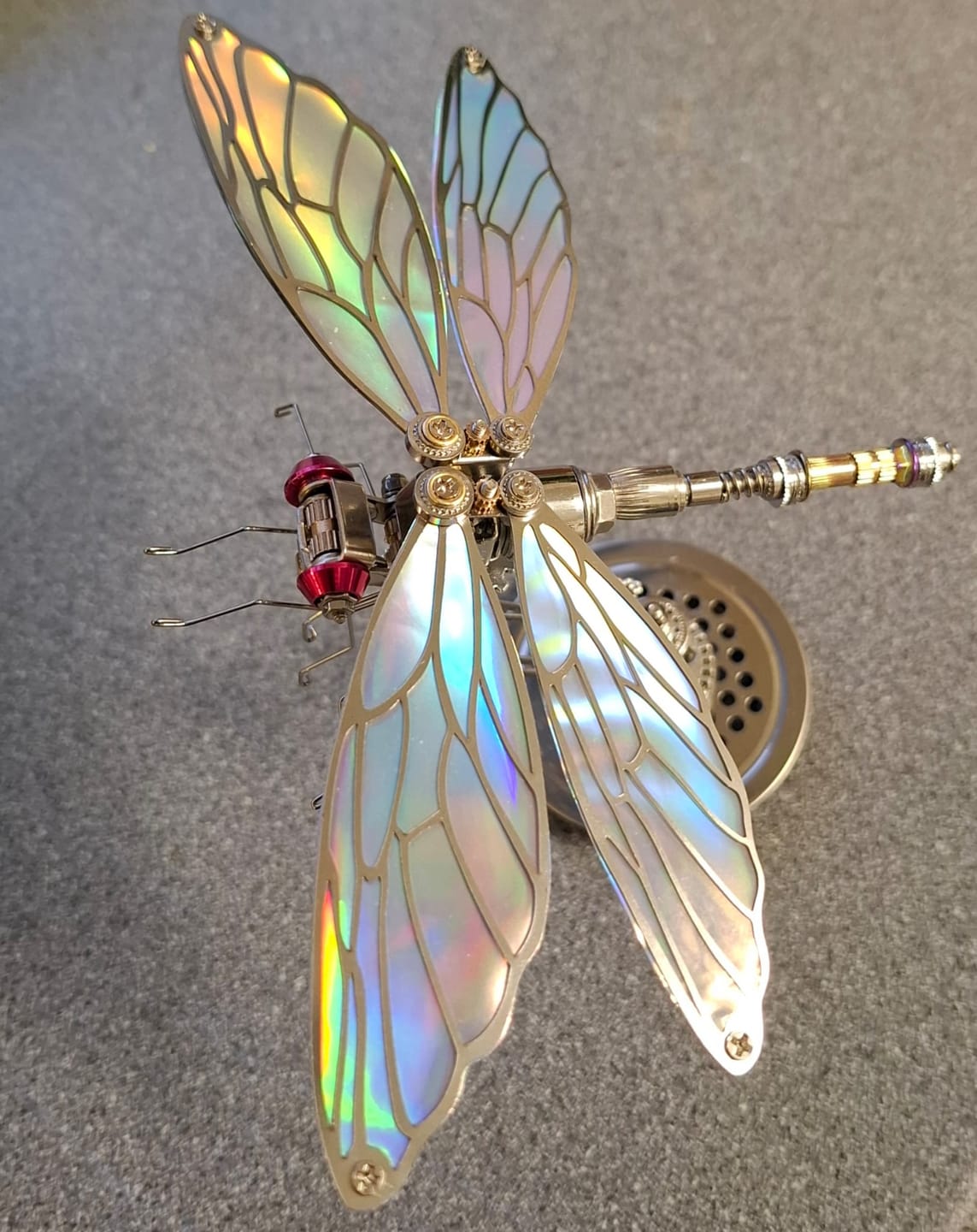 Customer photo review of Dragonfly