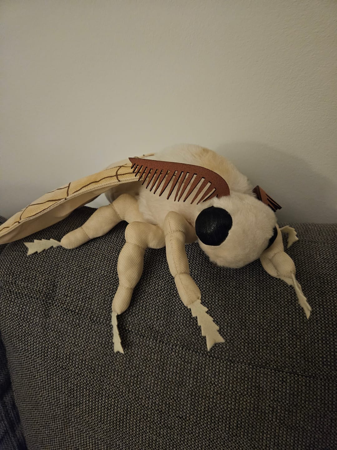Customer photo review of Silk Moth Soft Stuffed Plush Toy