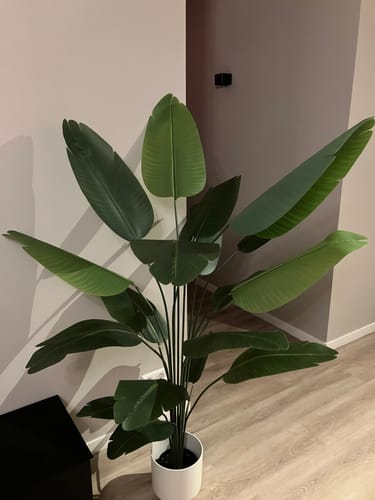 Customer photo review of Kunst Bananenplant 180cm