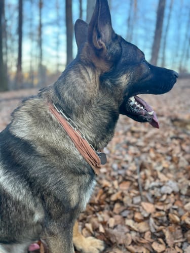 Customer photo review of Langgliedrige Eastside Chain