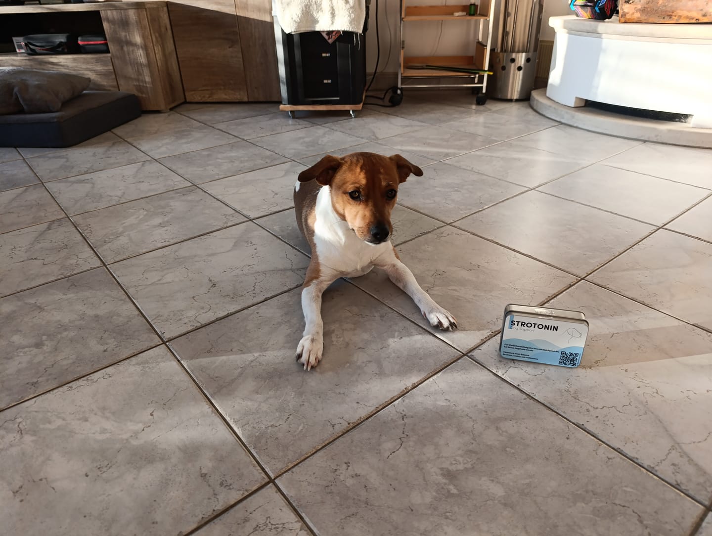 Customer photo review of Strotonin Dog Support
