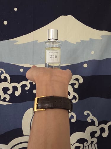 Customer photo review of The Scentora Vault