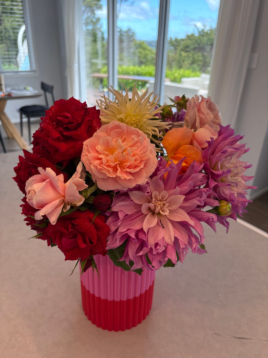 Customer photo review of Frankie XL