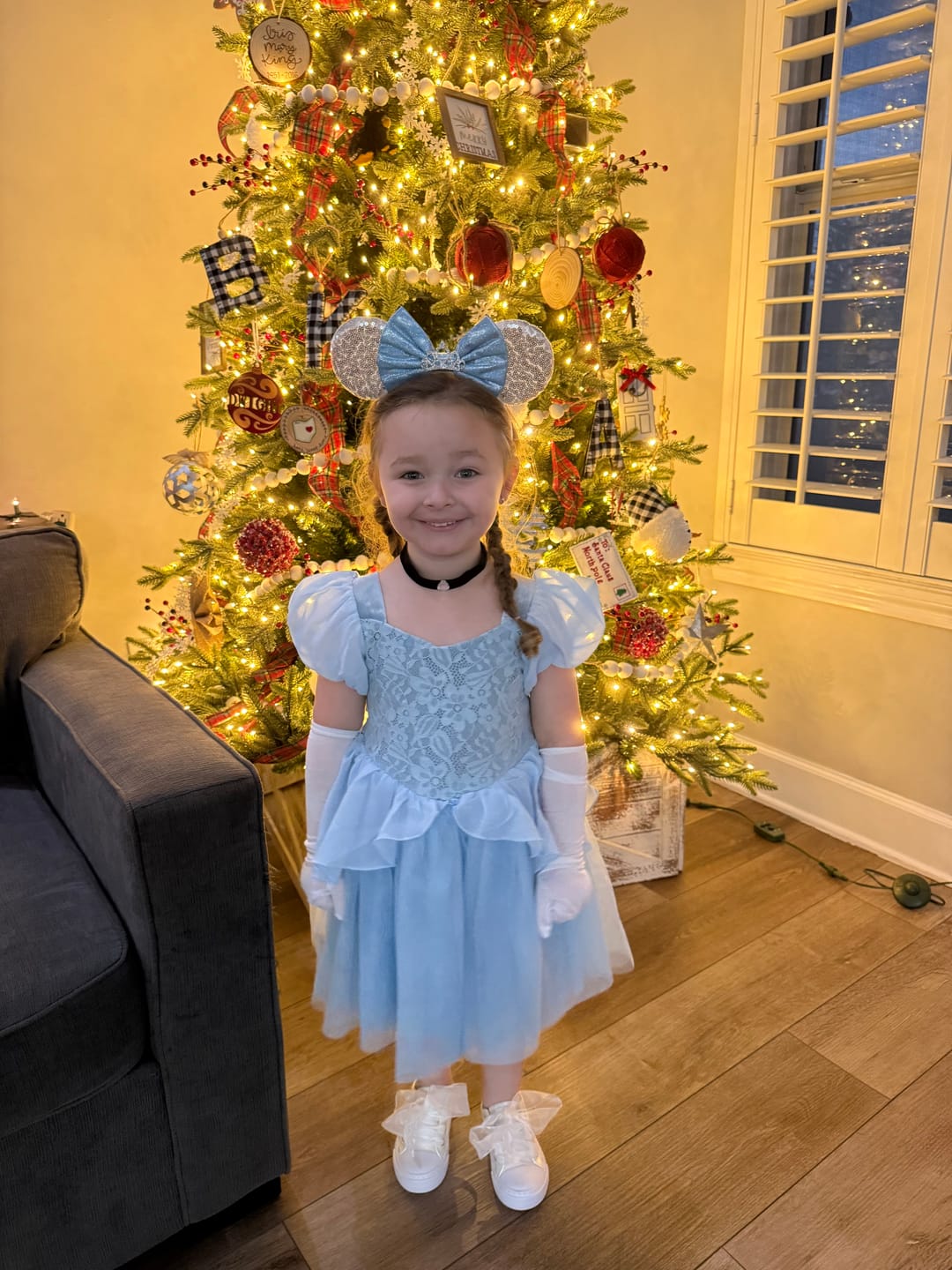 Customer photo review of Portrait Petites Cinderella Twirl Length Gown
