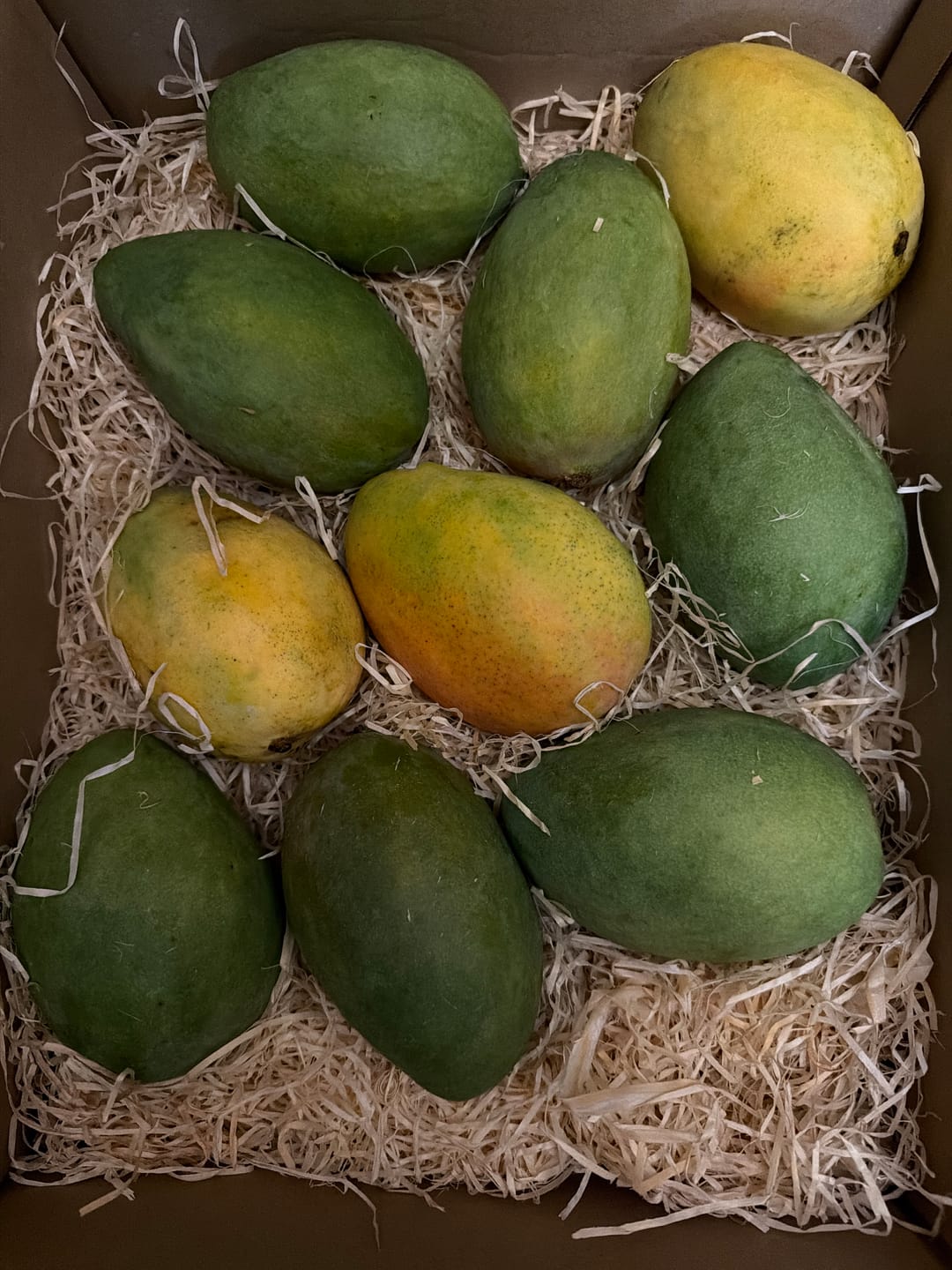 Customer photo review of Mango "Edward" Bio Flugware baumgereift