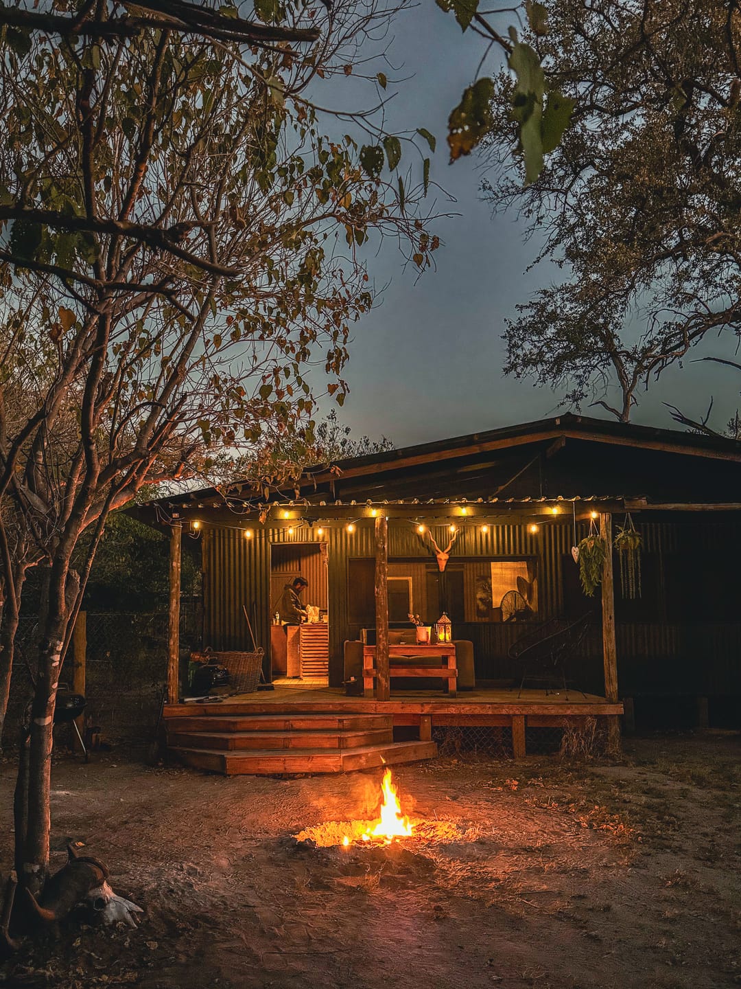 Customer photo review of Solar Festoon Bulb String Lights