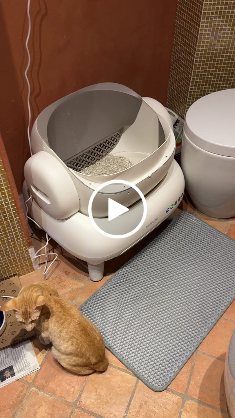 Customer video review of Neakasa M1 Lite Open-Top Self-Cleaning Cat Litter Box